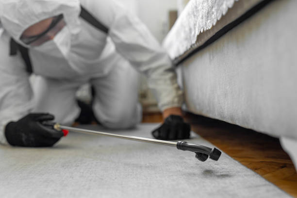 Professional Bed Bug Control technician working in Greenwood County County, SC